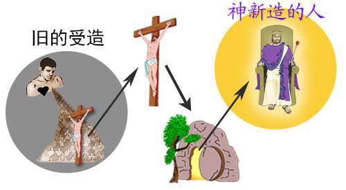 The old creation versus God's new creation