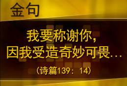 我要称谢你,因我受造奇妙可畏……(诗篇139: 14)