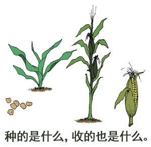 What you sow is what you reap.
